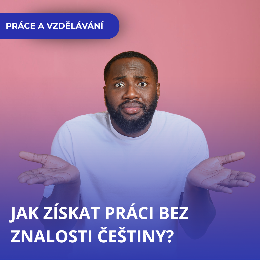 Jak získat práci, když neumím česky?